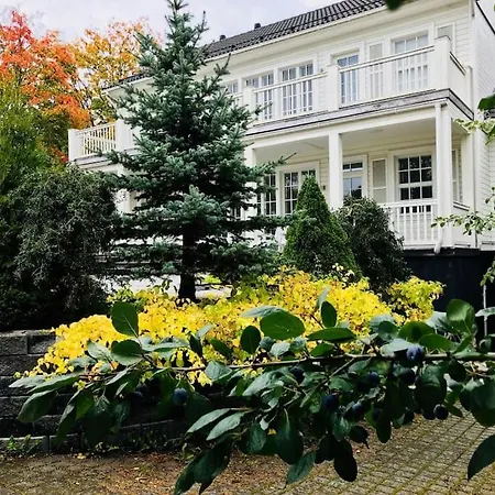 White House Villa Karleby