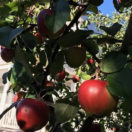 White House * Karleby